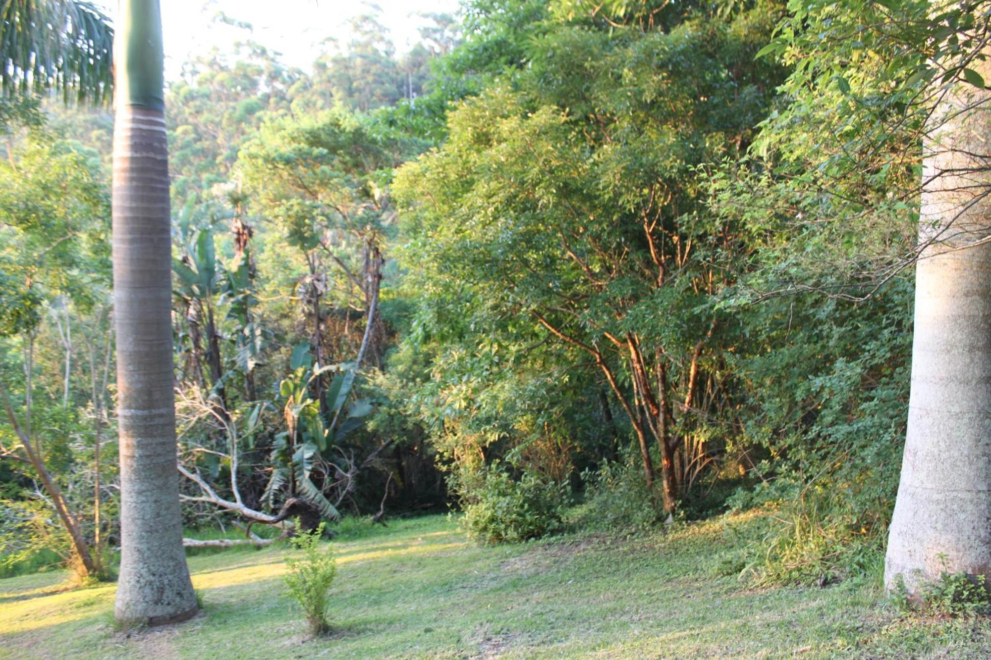 Royston Hall Historical Guesthouse Umtentweni Exterior foto